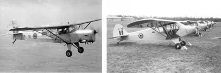 Auster VI et  Piper Cub L18C
