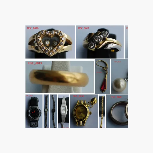 Gestolen voorwerpen terecht van diefstallen in Aalst, Beveren, Ninove en Koksijde 